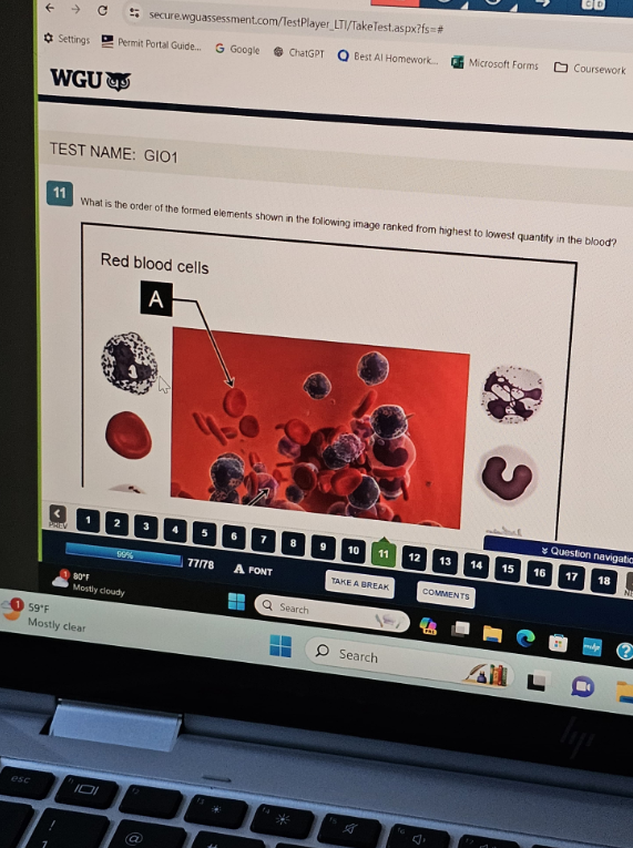 WGU D313 Anatomy & Physiology II with Lab OA2